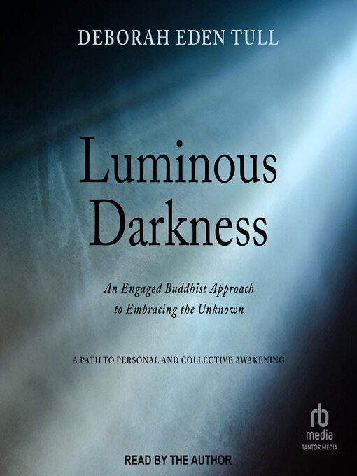 Cover image for Luminous Darkness